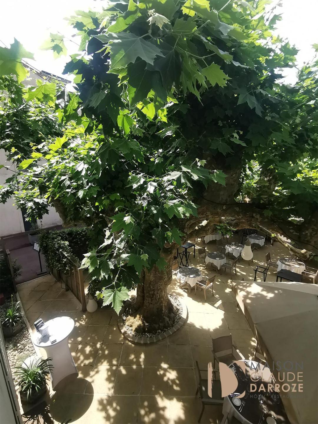 Logis Hotel - Restaurant Maison Claude Darroze Лангон Екстериор снимка